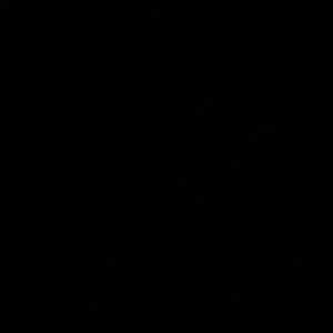 Meet your Posher, Jackson